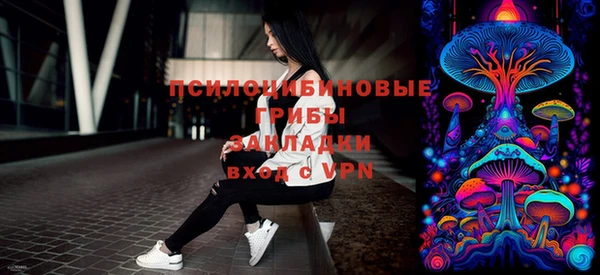 дживик Ладушкин