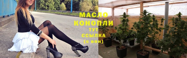 дживик Ладушкин