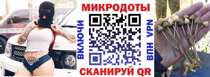 Псилоцибиновые грибы Psilocybine cubensis  купить наркоту  Усть-Катав 